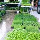 전원농약사 이미지