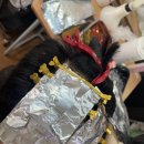 이용사 자격증 이미지