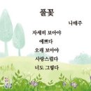 풀꽃 이미지