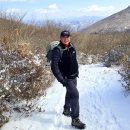 산들바람 이미지