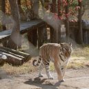 춘양역 | 경북 봉화에서 일주일살기 &lt;유휴하우스 봉화 춘양&gt;