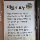 옹심이칼국수 메밀막국수
