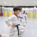 고려 청룡 태권도 이미지