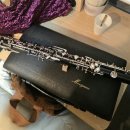 오보에 | ​[레슨 일기] 오보에 배우기 어렵나요? 부산 레슨 실제 후기 (feat. 쇼츠 리얼 후기)