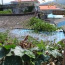 중앙1길 이미지