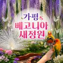[( ´•౪•`)가평 베고니아새정원] 가평 가볼만한 곳 / 31개월 아이와 내돈내산 세세한 후기