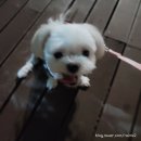 (주)레임 이미지