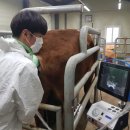 경남 우량한우 경남도민신문