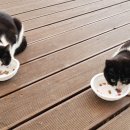 보현산자연휴양림 이미지