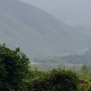 뚝심농장 이미지