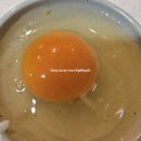신선함이 살아있는 집밥 한 끼! 프레딧 신선란과 하루두부로 만든 돌솥비빔밥과 미소국 후기