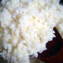 밥이보약 이미지