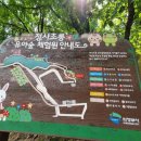 청사초롱 유아숲체험원 이미지