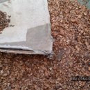 풍년칼국수 이미지