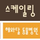 해와달동물병원 이미지