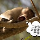 아틀레 - 영등포구 문래로 180 | 아틀레