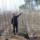 삼보농원 이미지