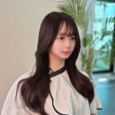 붙임머리