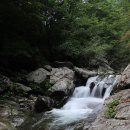 숲속 나들이 펜션 이미지