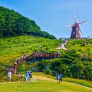 바람의언덕A 이미지