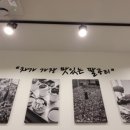 팔공티(PALGONG TEA) 이미지