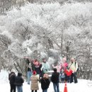 겨울 왕국 제주 한라&amp; 잊지 못하는~ 이미지