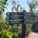 킹콩이농장 이미지