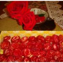 장미꽃사이로 이미지