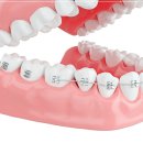 가지런이 치과교정과 치과의원 이미지