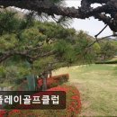 파플레이골프클럽 | 골프장 추천 파플레이골프클럽 합리적 가격의 파플레이골프클럽