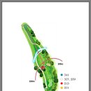 올데이 옥스필드 이미지