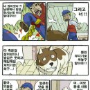 프란다스의개 이미지