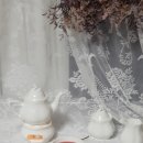 차모아랜드 이미지