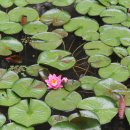 한성목장 | 간밤에 자고 간 그놈 : 이정보(李鼎輔 1697~1766)