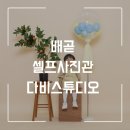 다비스튜디오 | 배곧 셀프스튜디오 추천 다비스튜디오 솔직후기📸 인생사진 건짐