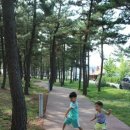 낙산씨사이드