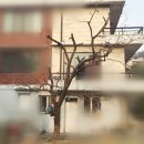 (주)이웃사람들 이미지