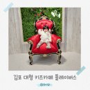 키즈웨일 아카데미(주) | [김포 플레이버스] 주말 가족 코스로 좋은 김포 아이와 가볼 만한 대형 키즈카페