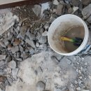 로뎀나무도서관 이미지