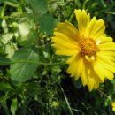 한향림옹기박물관 이미지