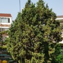 주식회사디엔에스 이미지