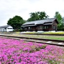 성산일출봉, 태양과 나란히 눈을 마주하다. 알아보기 이미지