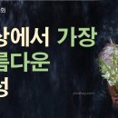 160화 세상에서 가장 아름다운 여성 이미지