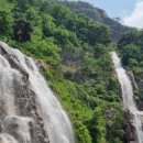 나여사 김밥 이미지