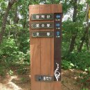 용인정신병원 이미지