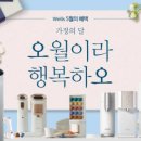 웰스시