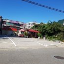 정윤기 황칠낙지 이미지