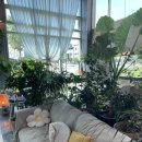 웅천동 지마트쪽 사거리 | 웅천 로도울 분위기 좋은 플라워 카페 flower cafe 웅천 카페추천
