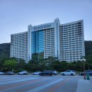 소노캄 타워D 비발디파크 | 비발디파크 소노캄 패밀리 스탠다드 취사객실 얼리체크인 객실정원
