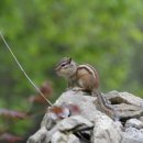 중말쉼터 이미지